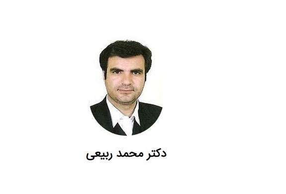 دکتر محمد ربیعی